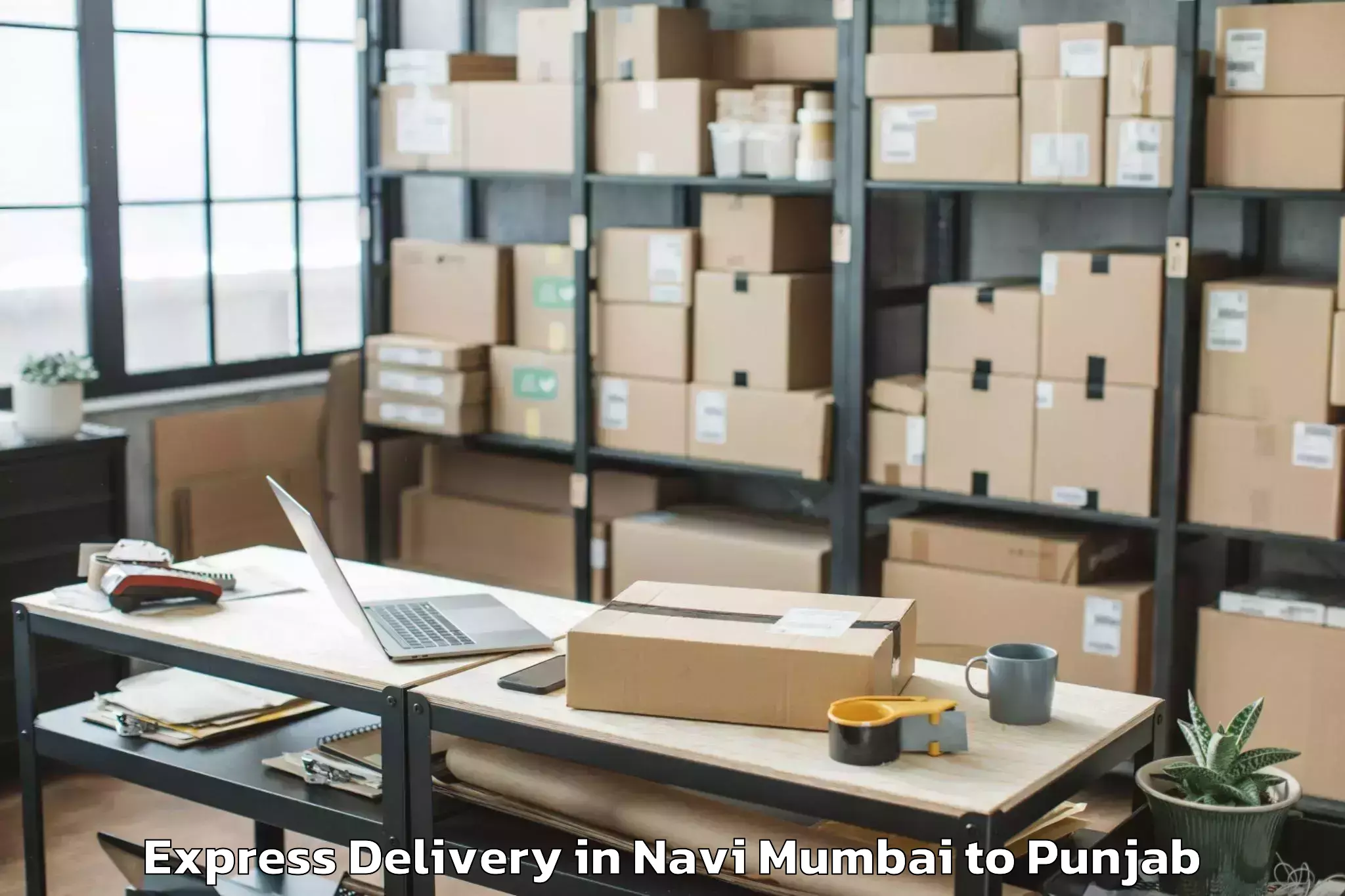 Navi Mumbai to Raikot Express Delivery